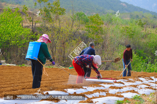 农民种地