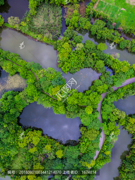 杭州西溪湿地