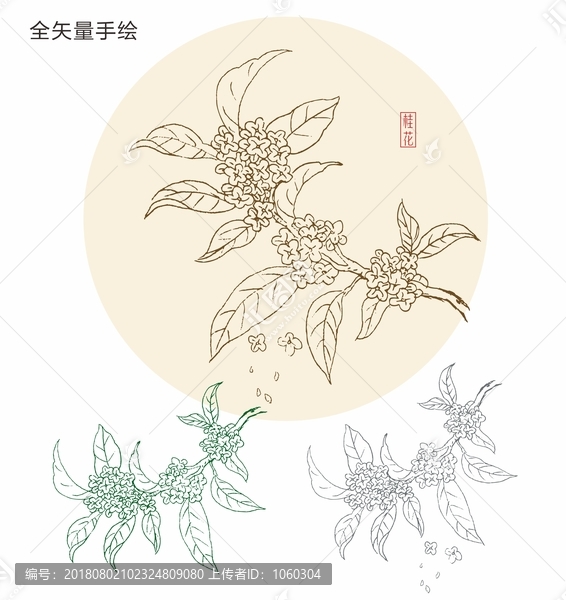 手绘桂花