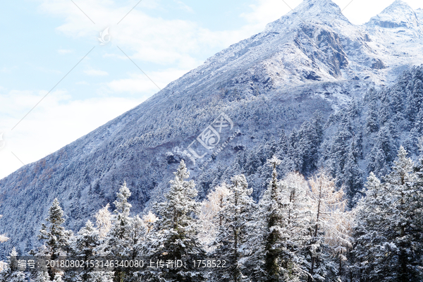 毕棚沟雪景