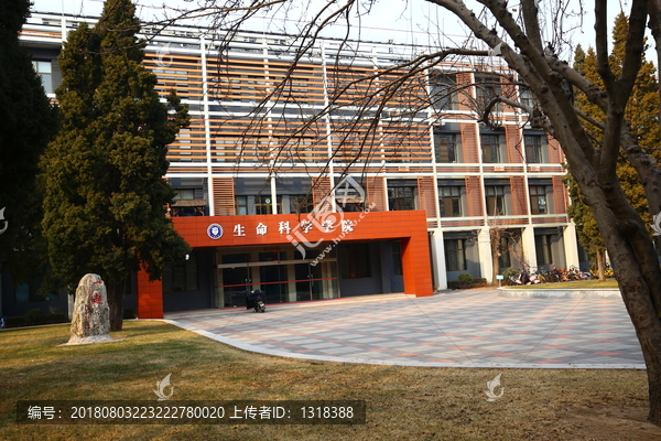 天津大学生命科学学院