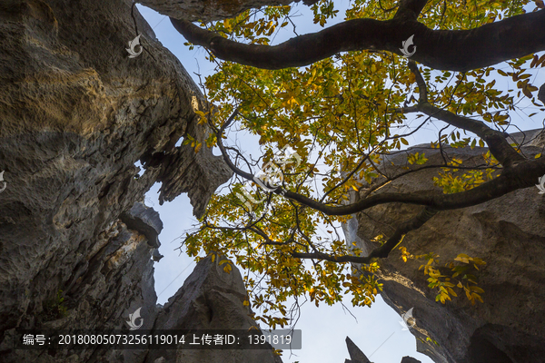 石林风景区