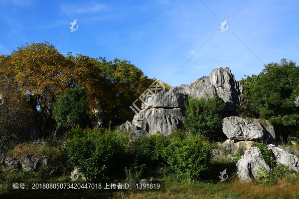 石林风景区