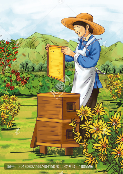 養(yǎng)蜂人蜂蜜插畫采蜜