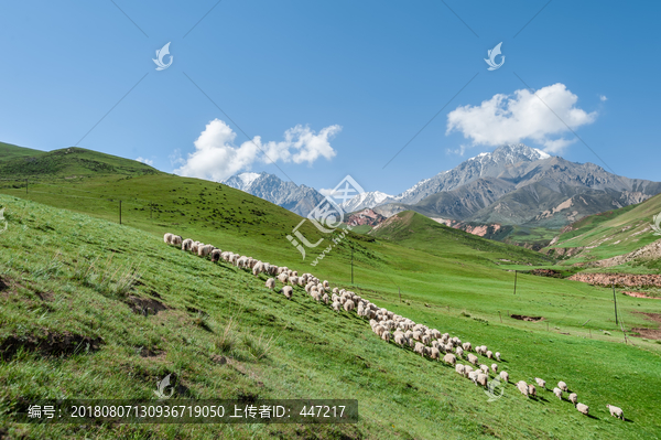 青海祁连山牧场