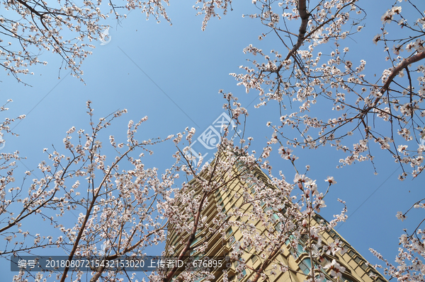 花开春色艳之居住环境