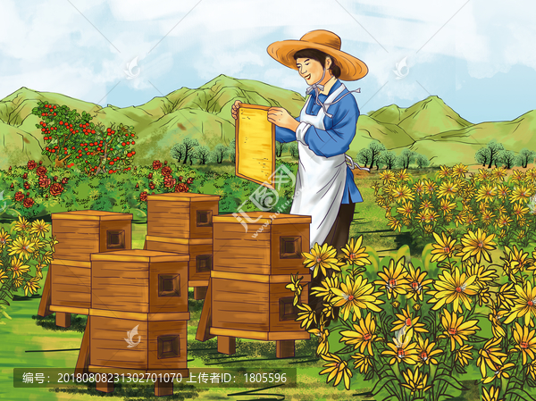 養(yǎng)蜂人插畫蜂蜜