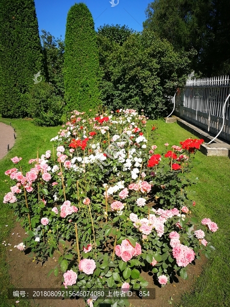 葉卡捷琳娜宮花園