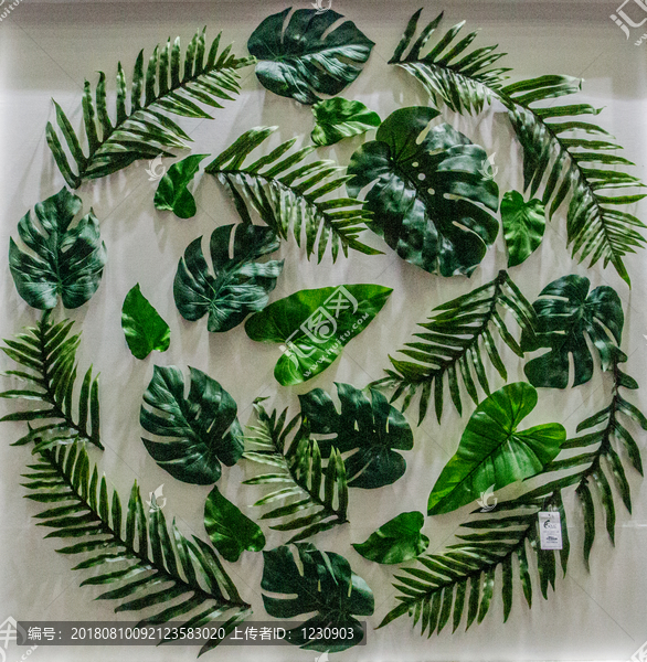 綠植墻抽象圖案