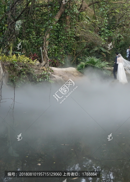 热带雨林