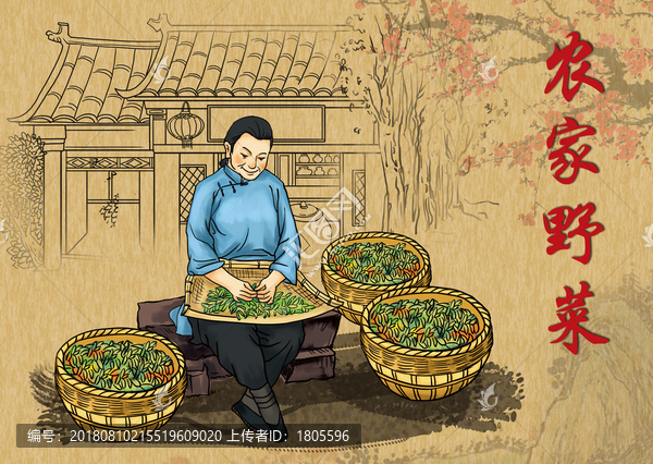農(nóng)家野菜香椿芽插畫