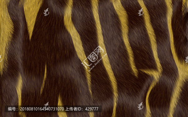 動物毛