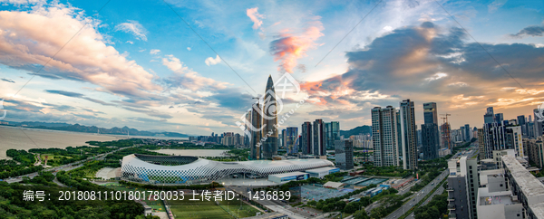 深圳湾体育中心全景