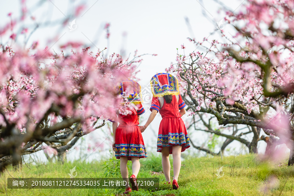 中国连州瑶族少女与桃花