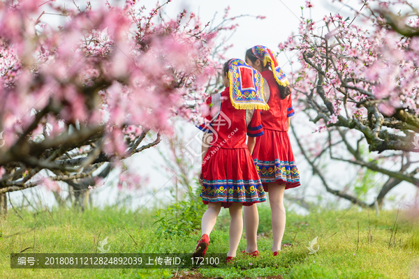 中国连州瑶族少女与桃花