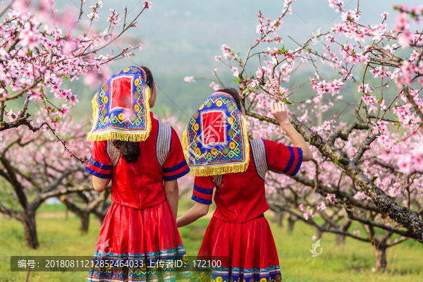 中国连州瑶族少女与桃花