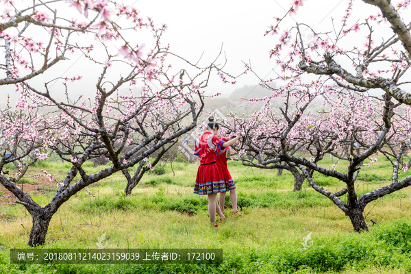 中国连州瑶族少女与桃花