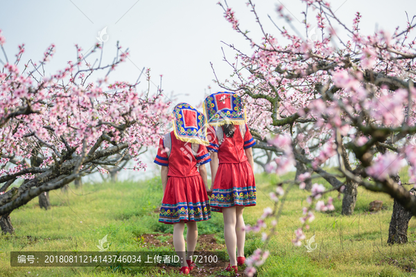 中国连州瑶族少女与桃花