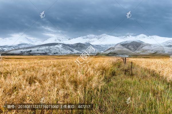 青海雪山风光