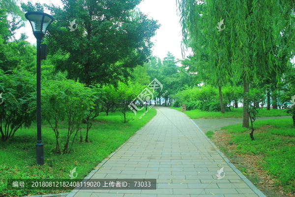 林蔭道