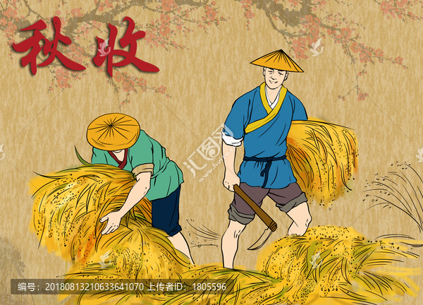 雜糧秋收農(nóng)忙水稻大米插畫