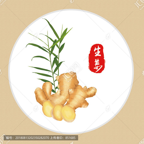 姜生姜手繪姜