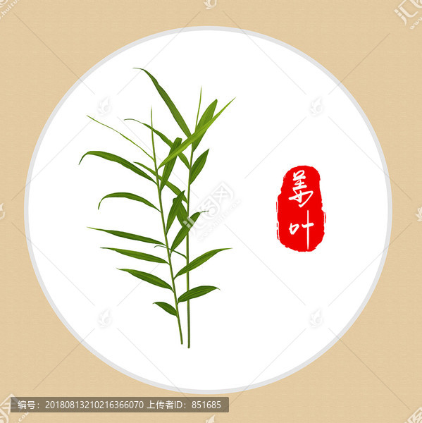 姜葉手繪姜