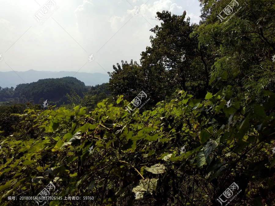 山间风景