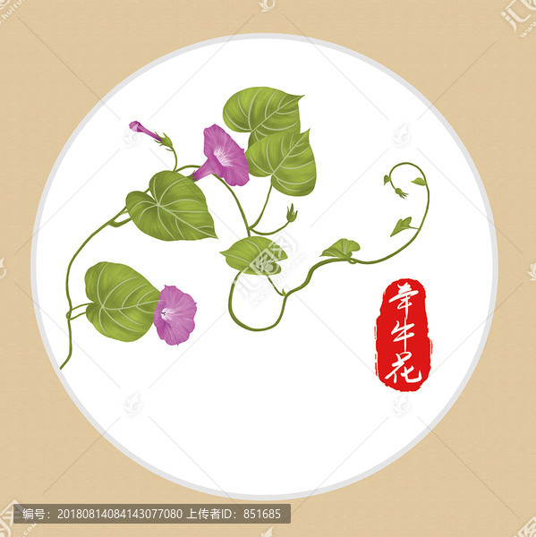 牽牛花手繪花奔