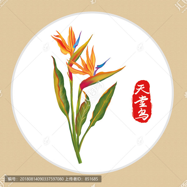 天堂鳥手繪草本花奔