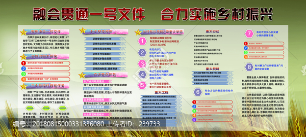 實(shí)施鄉(xiāng)村振興戰(zhàn)略