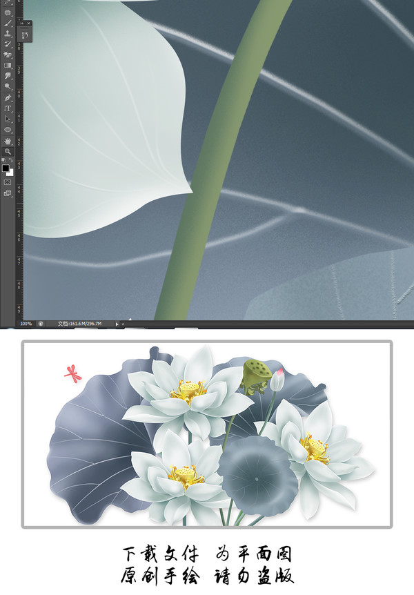荷花