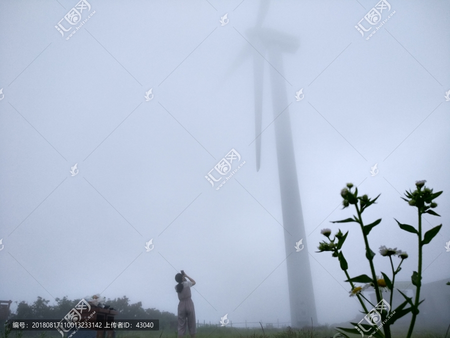 风车迷雾森林