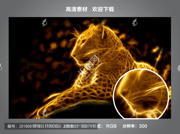 獵豹