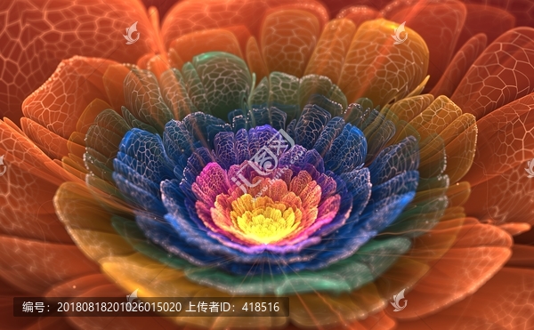 花紋圖案