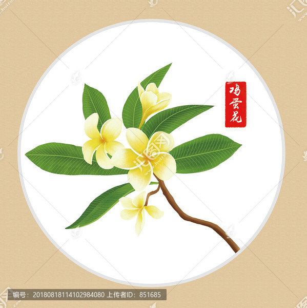 雞蛋花手繪花奔