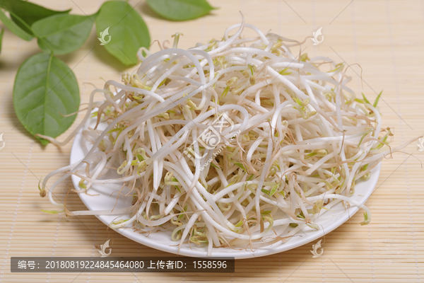 绿豆芽