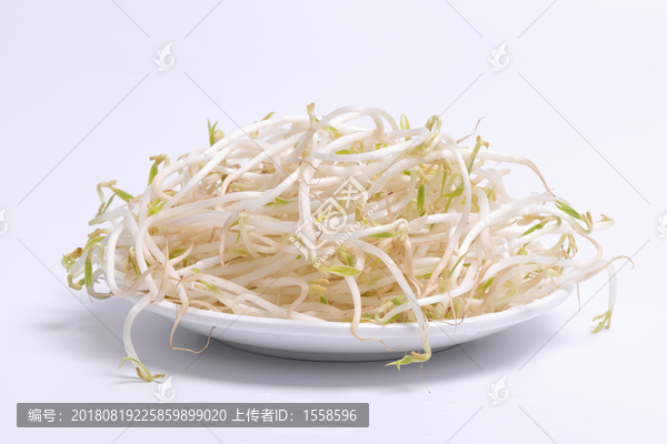 绿豆芽