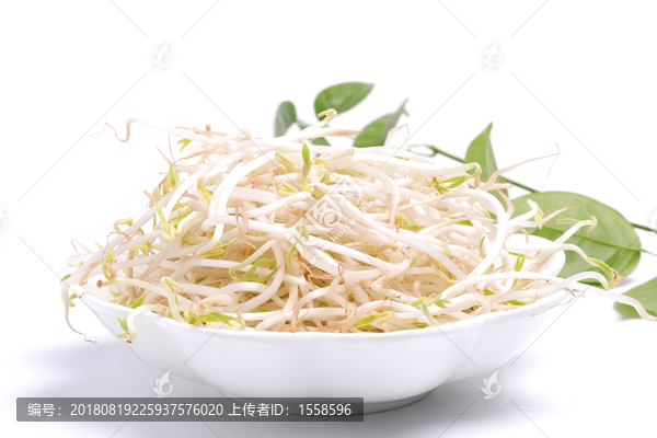 绿豆芽