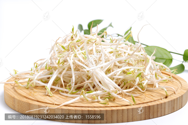 绿豆芽