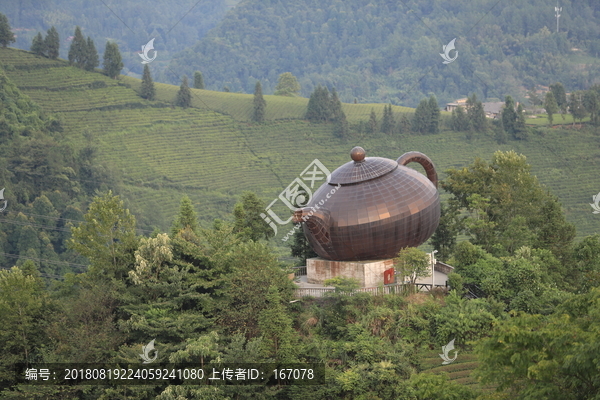 伍家台茶山大茶壶