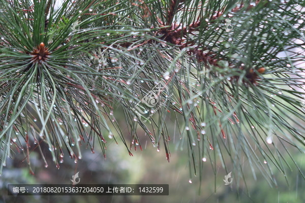 雨滴