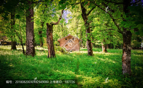 阳光森林小屋