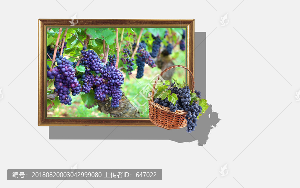 葡萄