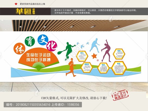 體育文化