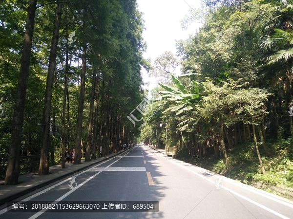 青城山景区