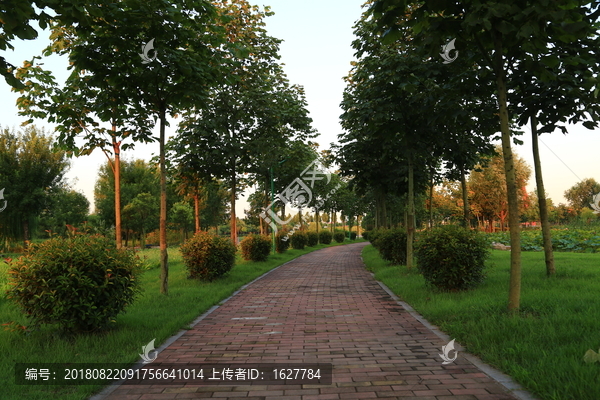 莒南县鸡龙河水利风景区