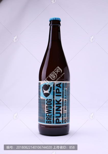 酿酒狗精酿啤酒brewdog