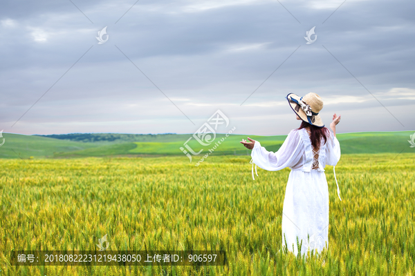 草原风景