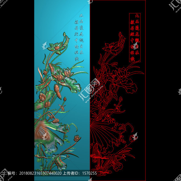 荷花